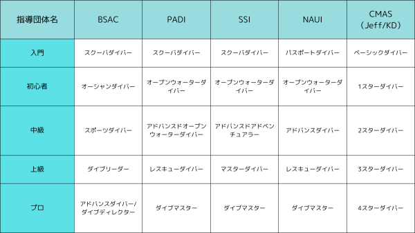 指導団体・コース名
