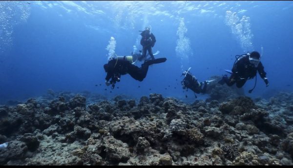 ダイバーが無重力状態で浮かんでいる様子