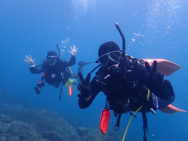 海の中でダイビングをするダイバー2人