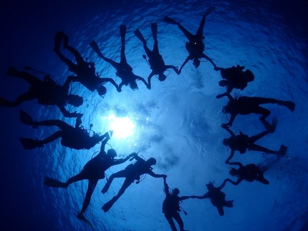 ダイバーが海の中で円になって写真を撮っている様子